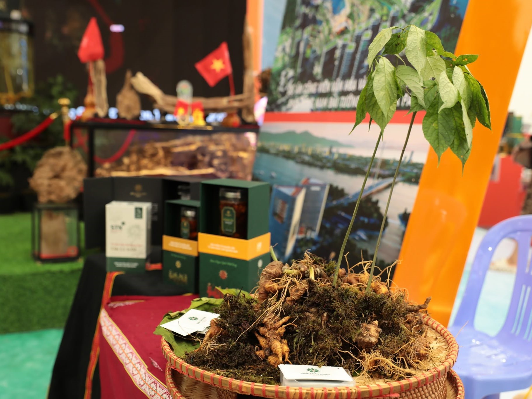 Hình nhỏ