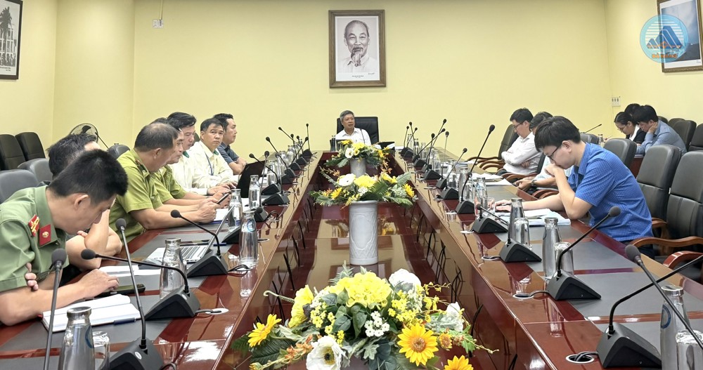 Đẩy nhanh thủ tục đầu tư 2 dự án trồng Sâm Ngọc Linh và dược liệu