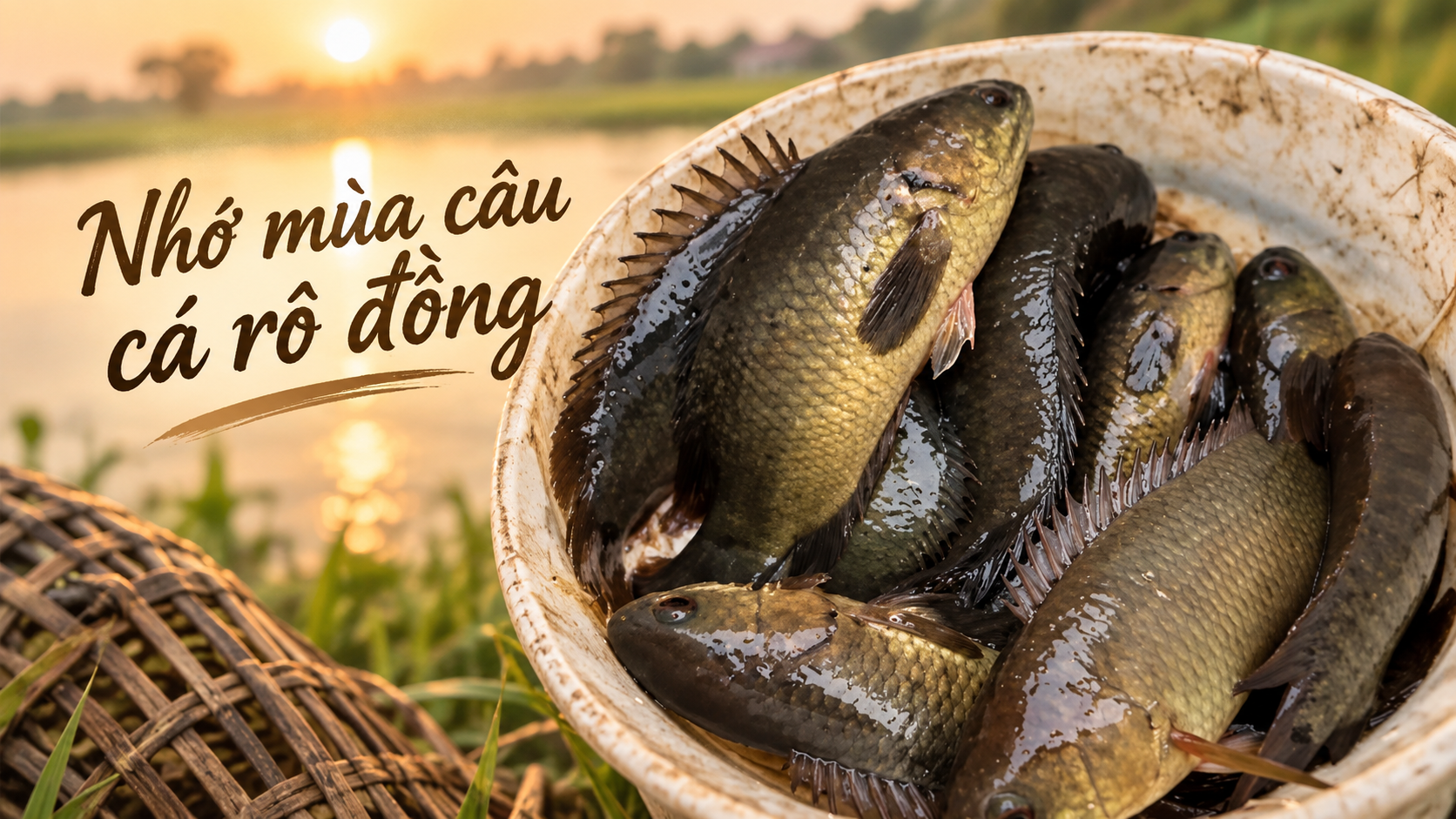 Podcast: Nhớ mùa câu cá rô đồng