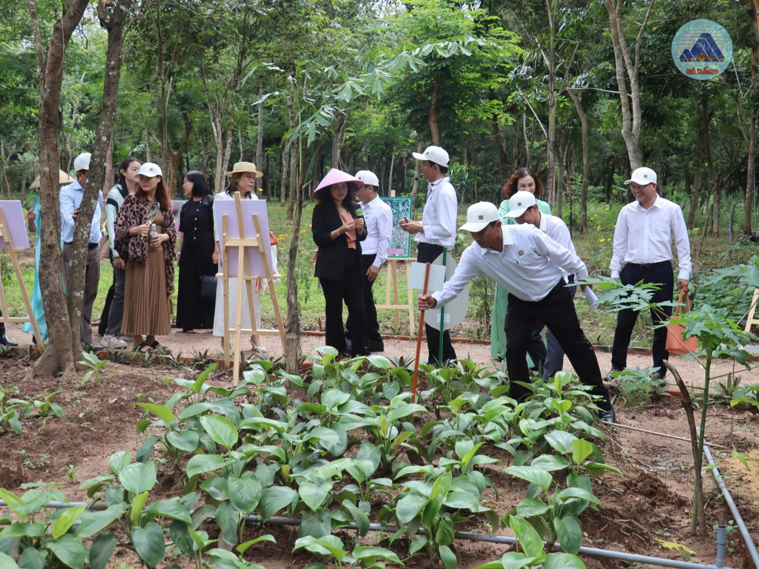 Mỹ Sơn khai trương tour tham quan, trải nghiệm “Vườn dược liệu và ngâm chân thảo dược”