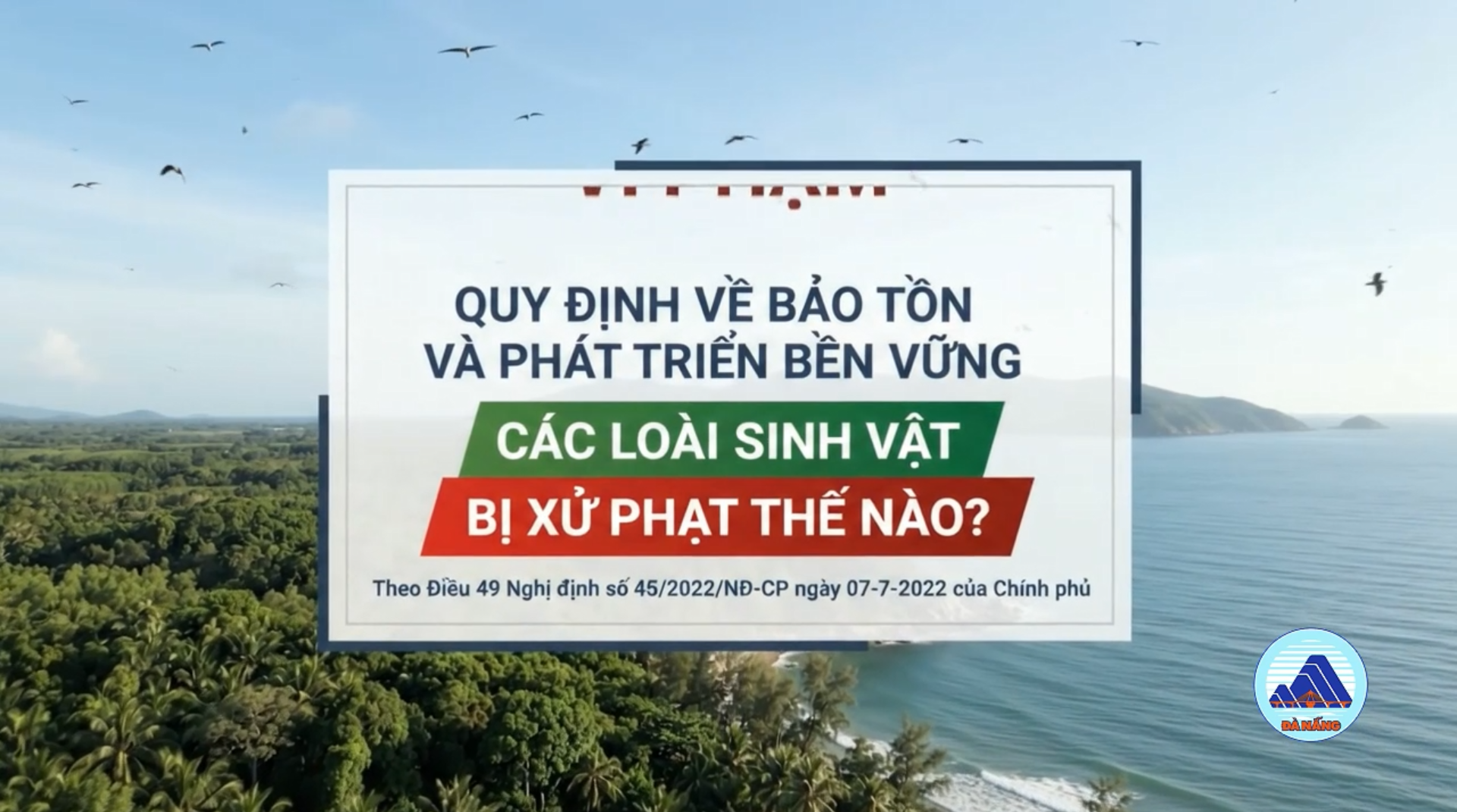 [Video AI]: Vi phạm quy định về bảo tồn và phát triển bền vững các loài sinh vật bị xử phạt thế nào?