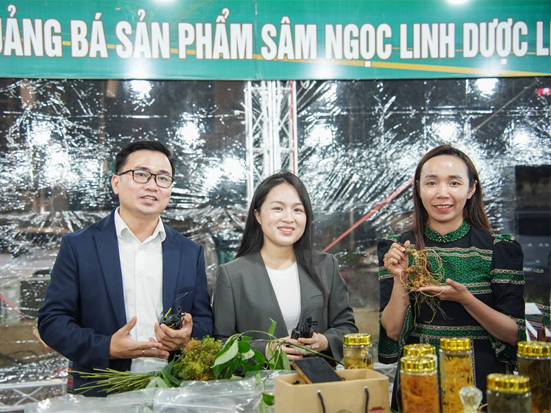 Hình nhỏ