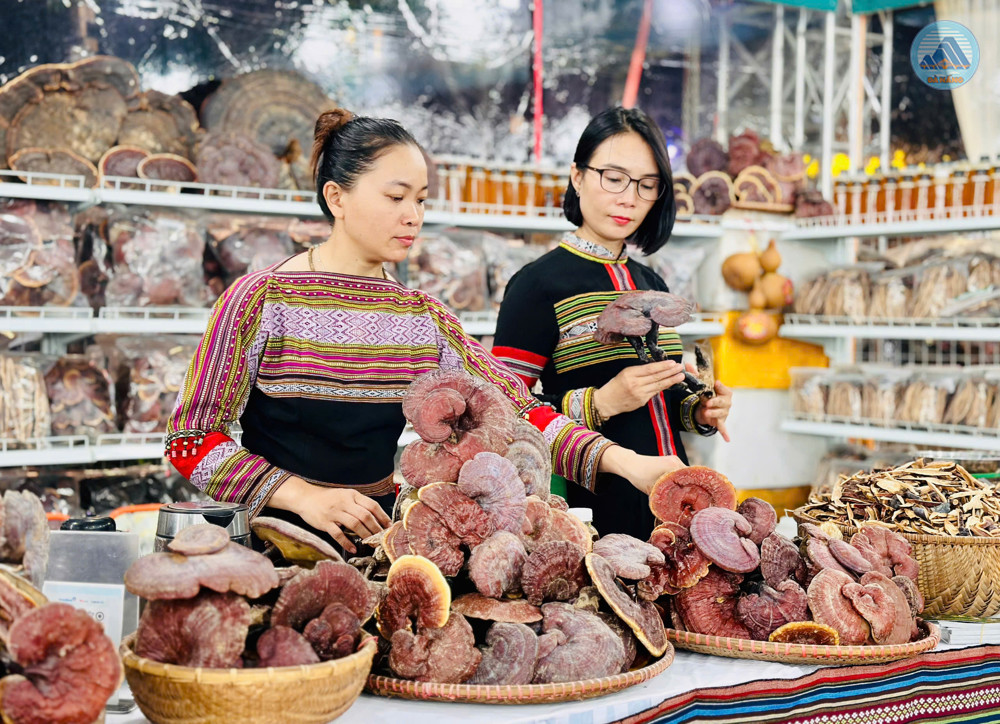 Hình nhỏ